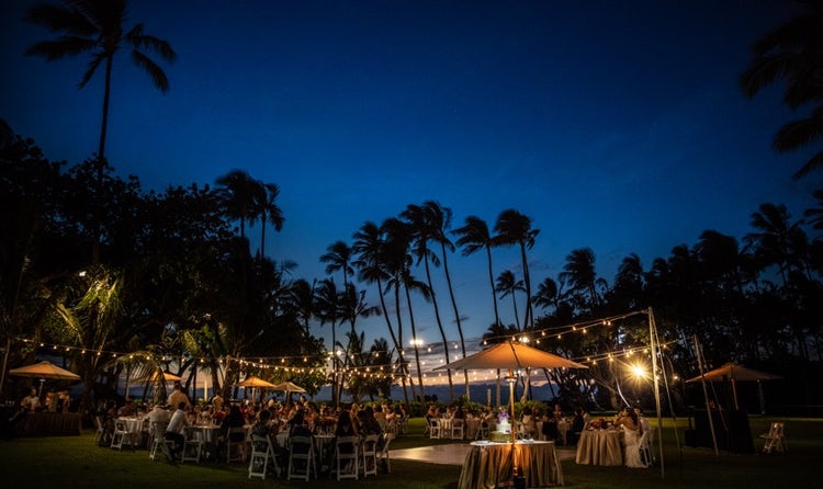 Chairs and tables set up beneath hanging lights and surrounded by palm trees