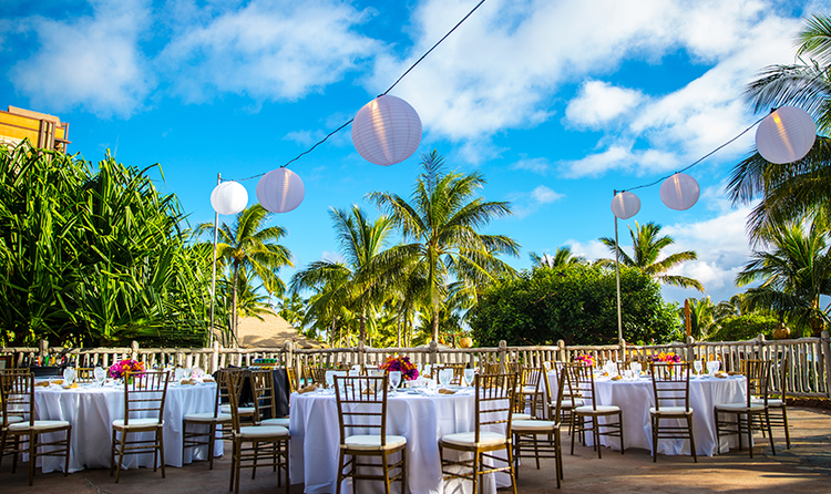 Round tables and chairs arranged on a patio amid many palm trees