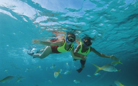 A couple on a snorkeling excursion in the Caribbean Sea surrounded by fish while honeymooning on the Disney Cruise Line