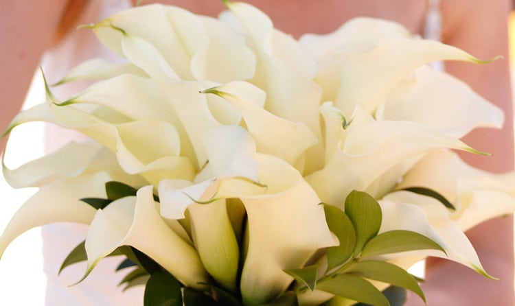 Calla Lily Bouquet